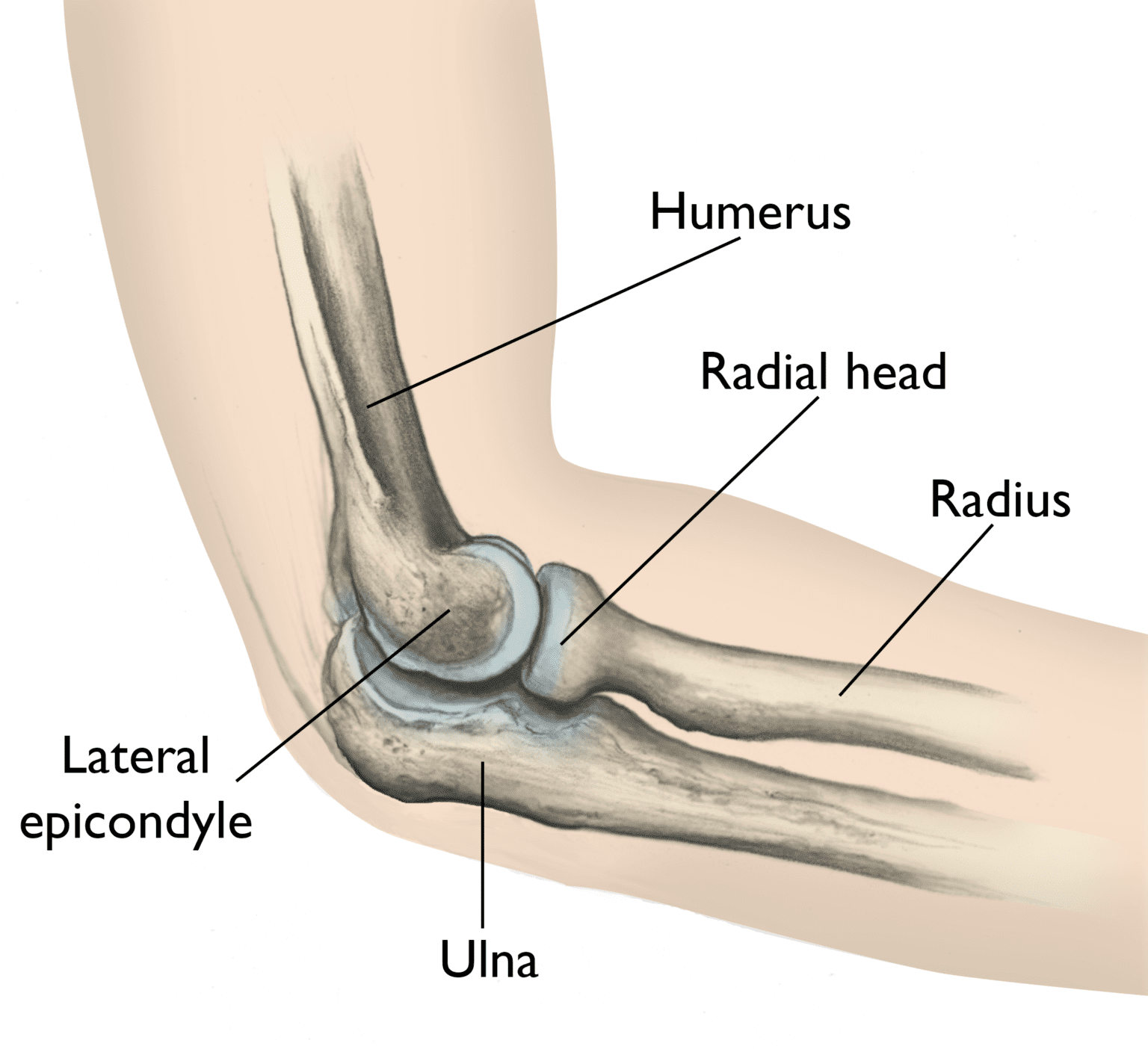 RADIAL HEAD FRACTURES Midwest Bone and Joint Center